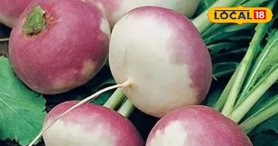 ठंड में ही मिलती है ये सब्जी, थकान-कमजोरी से लेकर खांसी, बीपी, सहित तमाम रोगों में है फायदेमंद