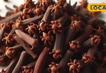 Cloves benefits Eliminate acidity and digestion problems Rich in fibre and iron Laung khane ke Fayde aur nuksan – Bharat.one हिंदी