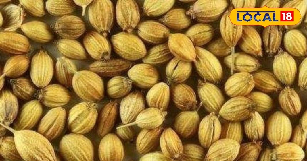 बड़े काम है का यह छोटा सा दाना, स्किन एलर्जी को कर देता है दूर