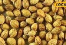 बड़े काम है का यह छोटा सा दाना, स्किन एलर्जी को कर देता है दूर