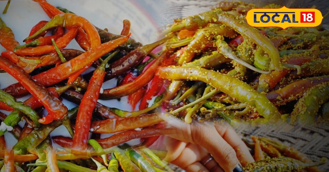 Special Pickle: असरदार है भरतपुरी मिर्च का अचार, लाजवाब स्वाद के साथ सेहत का बेजोड़ मेल, देशी स्टाइल में होता है तैयार
