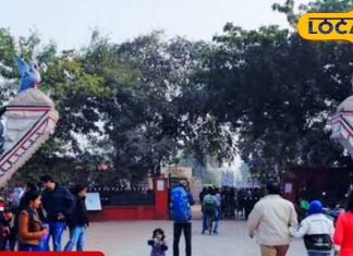 जन्नत है केवलादेव नेशनल पार्क, सुंदर झीलों और जंगलों के अलावा और भी बहुत कुछ है यहां