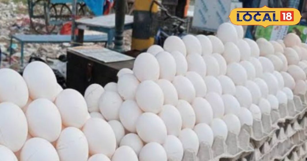 क्या आप जानते हैं सर्दी में अंडे के फायदे? रॉकेट की रफ्तार से बढ़ रहे दाम, जानें रेट