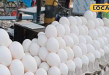 क्या आप जानते हैं सर्दी में अंडे के फायदे? रॉकेट की रफ्तार से बढ़ रहे दाम, जानें रेट