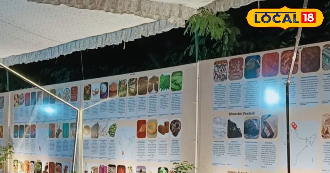 GI Products: जीतना चाहते हैं कार तो इस मेले के लकी ड्रॉ में लें हिस्सा, अबतक 2 करोड़ के अनोखे प्रोडक्ट्स की बिक्री