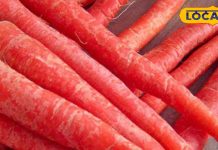 सर्दी के लिए सुपरफूड है ये लाल रंग की सब्जी, कैंसर जैसी बीमारी से रखता है दूर, सेहत के लिए बहुत ही असरदार – Bharat.one हिंदी