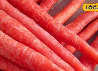 सर्दी के लिए सुपरफूड है ये लाल रंग की सब्जी, कैंसर जैसी बीमारी से रखता है दूर, सेहत के लिए बहुत ही असरदार – Bharat.one हिंदी