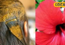 बड़ा ही करामाती है यह फूल, बालों को बना देता है घने-चमकदार और मजबूत