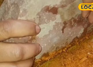 सिलबट्टा या मिक्सर ? मसाला पीसने के लिए क्या है बेस्ट ऑप्शन? जानें एक्सपर्ट की राय