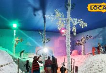 6 लाख की लागत, 5 क्विंटल रुई; बनाया ऐसा स्नोलैंड कि स्विट्जरलैंड भी फेल! जानें क्या है खास…