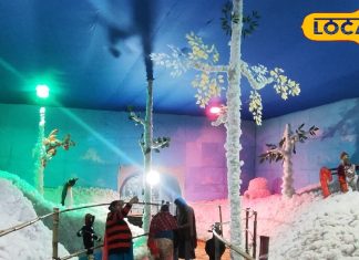 6 लाख की लागत, 5 क्विंटल रुई; बनाया ऐसा स्नोलैंड कि स्विट्जरलैंड भी फेल! जानें क्या है खास…