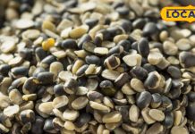 पोषक तत्वों का खजाना है यह दाल, नियमित सेवन से त्वचा रहेगा चमकदार