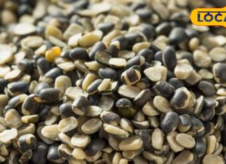 पोषक तत्वों का खजाना है यह दाल, नियमित सेवन से त्वचा रहेगा चमकदार