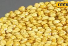 100 रुपए किलो वाली इस मिठाई की सर्दियों में है भारी डिमांड, 50 सालों से लोगों की बनी है पहली पसंद, सेहत के लिए है रामबाण