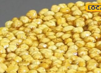 100 रुपए किलो वाली इस मिठाई की सर्दियों में है भारी डिमांड, 50 सालों से लोगों की बनी है पहली पसंद, सेहत के लिए है रामबाण