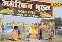 सेहत का खजाना है अमेरिकन भुट्टा, खाने के लिए दुकान पर लग रही है भीड़