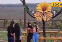 नए साल में ये नहीं देखा तो कुछ नहीं देखा, स्वर्ग से भी सुंदर है खंडवा का बटरफ्लाई पार्क