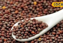 औषधीय गुणों से भरपूर है यह छोटा सा दाना, कई बीमारियों की है अचूक दवा