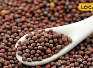औषधीय गुणों से भरपूर है यह छोटा सा दाना, कई बीमारियों की है अचूक दवा