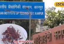 अब सिर्फ 1 सेकंड में रुकेगा बहता खून, IIT कानपुर ने तैयार किया खास स्पंज, दुर्घटनाओं के लिए होगा संजीवनी