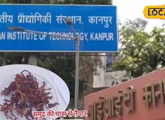 अब सिर्फ 1 सेकंड में रुकेगा बहता खून, IIT कानपुर ने तैयार किया खास स्पंज, दुर्घटनाओं के लिए होगा संजीवनी