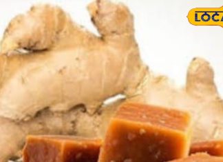 ये दो चीजें हैं कमाल, सर्दी के साथ ही जुखाम, कब्ज और गठिया में पहुंचाती हैं आराम