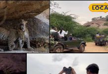 सेलिब्रिटी का गढ़ यह है एरिया, लैपर्ड हिल्स ऑफ इंडिया नाम से फेमस, वाइल्ड लाइफ में रुचि रखने वालों के लिए बेहतरीन जगह