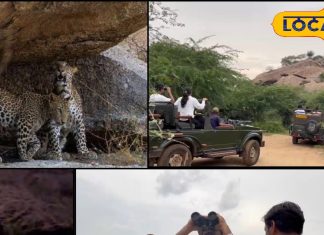 सेलिब्रिटी का गढ़ यह है एरिया, लैपर्ड हिल्स ऑफ इंडिया नाम से फेमस, वाइल्ड लाइफ में रुचि रखने वालों के लिए बेहतरीन जगह