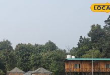 New Year Celebration : हरे-भरे जंगलों और बाघों के बीच करें नए साल का आगाज… पिकनिक के लिए भी है बेस्ट