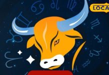 Vrishabh Rashi: वृषभ राशि वालों को आज नए काम में मिलेगी तरक्की, लव लाइफ में बढ़ेगी मधुरता, जानें कैसा रहेगा दिन