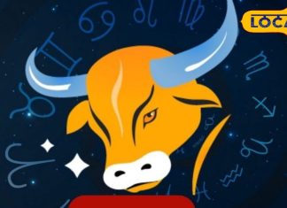 Vrishabh Rashi: वृषभ राशि वालों को आज नए काम में मिलेगी तरक्की, लव लाइफ में बढ़ेगी मधुरता, जानें कैसा रहेगा दिन