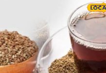 Celery Tea Benefits: अजवाइन की चाय के फायदे! पेट की बीमारियां जड़ से खत्म, वजन भी कम होगा