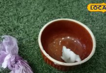 पास नहीं फटकेंगे सर्दी-जुकाम, ठंड में बच्चों को दें किचन में रखीं ये चीजें, तुरंत मिलेगा आराम!