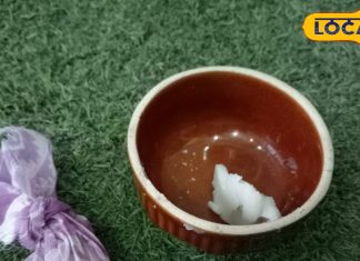 पास नहीं फटकेंगे सर्दी-जुकाम, ठंड में बच्चों को दें किचन में रखीं ये चीजें, तुरंत मिलेगा आराम!