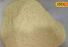 Moringa Powder Benefits In Hindi: सेहत का खजाना है ये पाउडर…आयरन-विटामिन की दुकान, खाते ही आ जाएगी ताकत, हर रोग होगा ठीक!