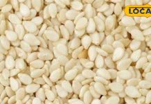 सर्दी से लेकर कब्ज, स्किन और बालों की समस्या में कारगर है यह तिल, जानें इस्तेमाल का तरीका