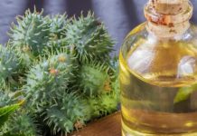 benefits of castor oil for navel massage and detox sa