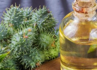 benefits of castor oil for navel massage and detox sa