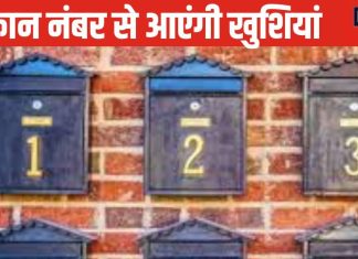 House Number Numerology : आपHouse Number Numerology: आपके मकान का नंबर देगा खुशहाली! मूलांक से करें हाउस नंबर की गणना! भाग्य का होगा उदयके मकान का नंबर देगा आपको खुशहाली, मूलांक से करें हाउस नंबर की गणना! हो जाएगा भाग्य का उदय