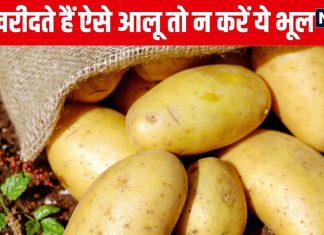 क्या आप भी करते हैं आलू खरीदने में ये 3 बड़ी गलतियां? स्टोर करते समय न रखें Potato इस चीज में वरना तुरंत होगा खराब