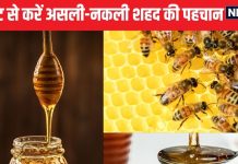 क्या आप शुद्ध शहद खा रहे हैं? जानने के लिए खुद करें ये 5 टेस्ट, असली-नकली Honey की होगी घर बैठे पहचान