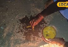 इस रिवाज के बिना नहीं होती है शादी, इसलिए है खास – Bharat.one हिंदी