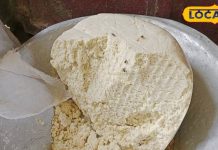 कैसे करें असली-नकली खोवा की पहचान?, एक्सपर्ट ने बताए खास उपाय