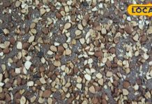 100 साल पुरानी तकनीक और स्वाद में क्रिस्पी, विदेश तक डिमांड – Bharat.one हिंदी