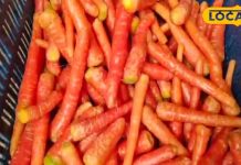 दिल के लिए बेहद फायदेमंद है सर्दियों का यह सुपरफूड, प्रतिदिन जरूर करें सेवन – Bharat.one हिंदी