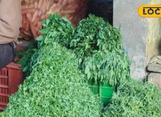 इम्यूनिटी का पावर बूस्टर होता है इसका साग, जानें औषधीय फायदे