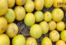 सर्दियों में इम्यूनिटी के लिए पिएं नींबू-पानी, रोज करें इसका सेवन; कोसों दूर रहेंगी बीमारियां! – Bharat.one हिंदी