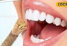 जब नहीं होता था मंजन-ब्रश, लोग करते थे तिमूर का दातून, गजब के होते थे फायदे – Bharat.one हिंदी