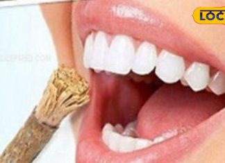 जब नहीं होता था मंजन-ब्रश, लोग करते थे तिमूर का दातून, गजब के होते थे फायदे – Bharat.one हिंदी