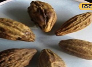 ये फल हर तरीके से देता है फायदा, नियमित सेवन से बुढापा रहेगा दूर, नो साइडइफेक्ट – Bharat.one हिंदी